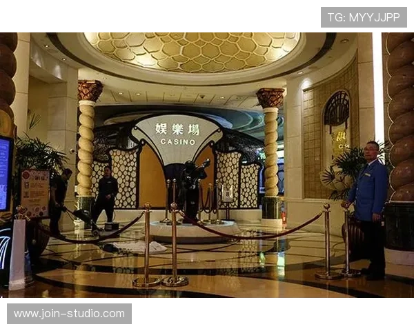 澳门十大娱乐场所详细介绍，带你探索每个场所的独特魅力